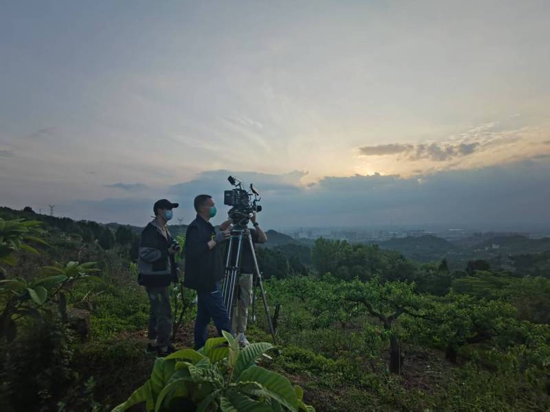 创意破圈！扬中市电商产品宣传视频用故事化叙事引爆流量