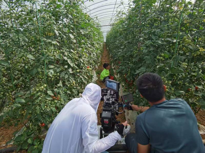 扬中市产品宣传视频拍摄公司进阶指南，助力品牌抢占传播高地